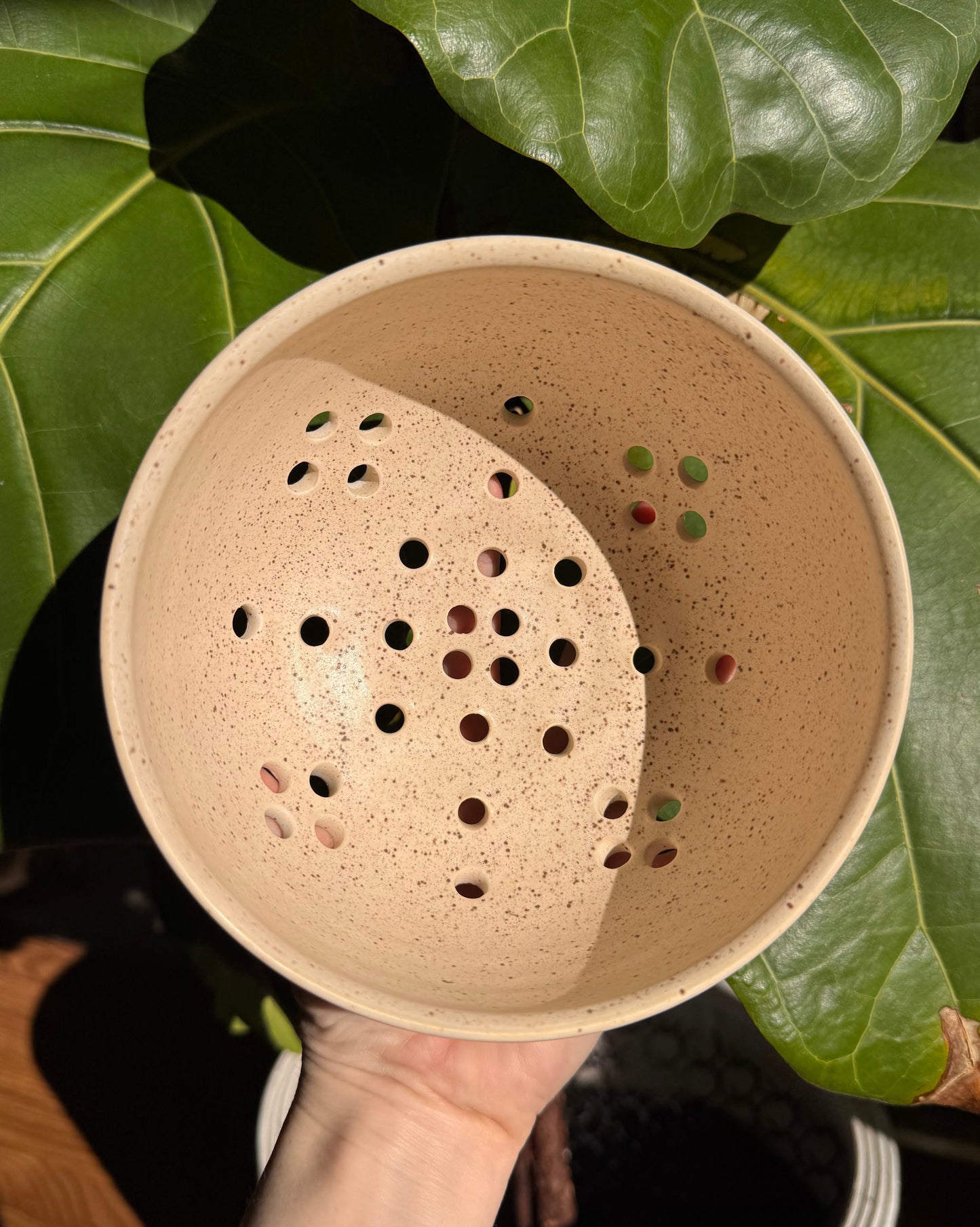 Strawberry-bowl