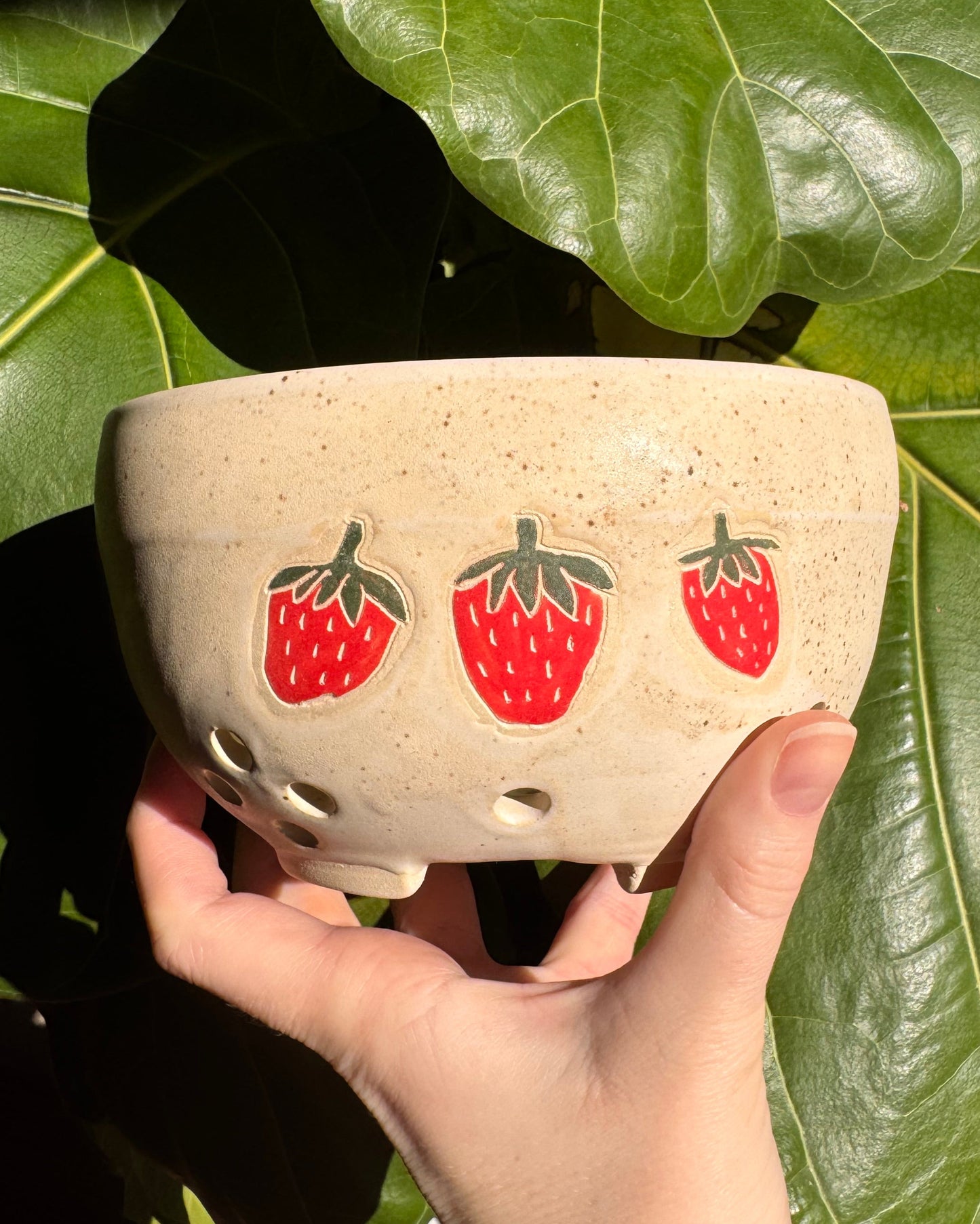 Strawberry-bowl